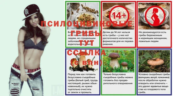 прущая мука Зеленокумск