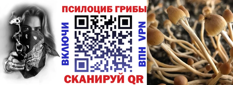 Купить закладки  Кадников  Псилоцибиновые грибы Psilocybe 