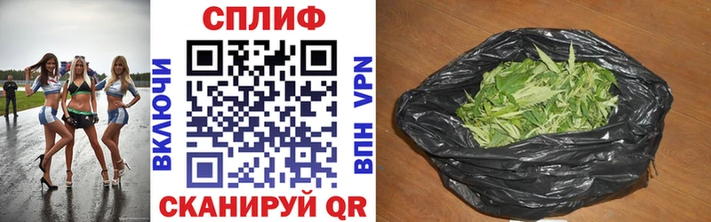 Бошки марихуана конопля Кадников